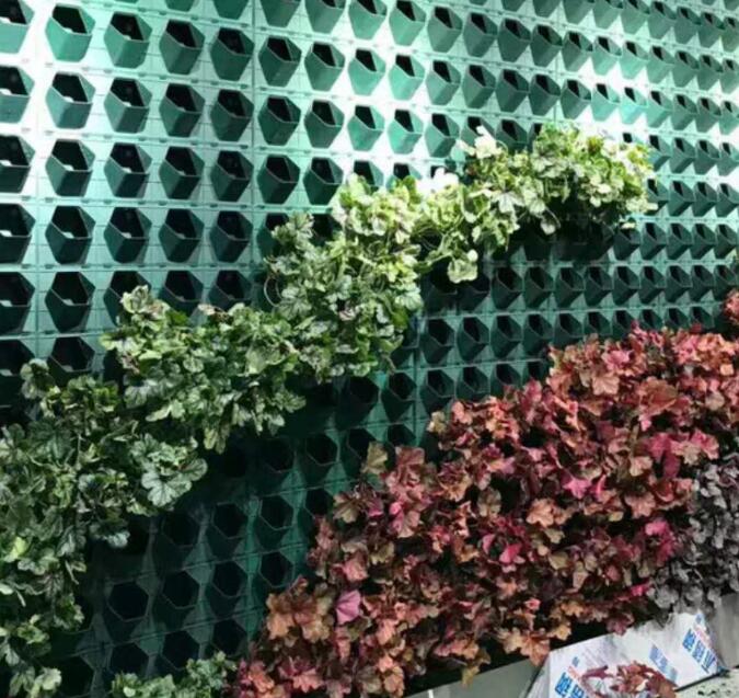 植物墙